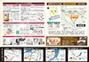 最新のチラシ